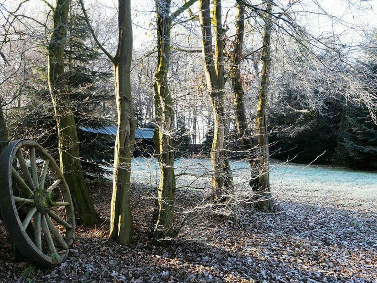 Hotel Zur Schanze Holtgast-Apen Exterior foto